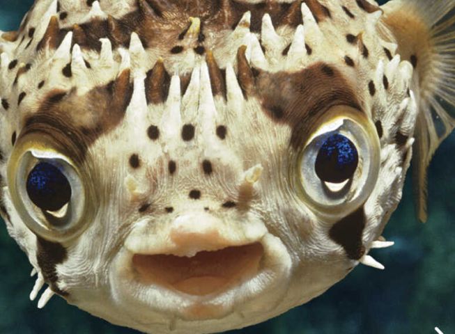 Мнооого доволна